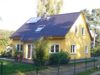 Fenster43