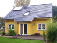 Fenster44